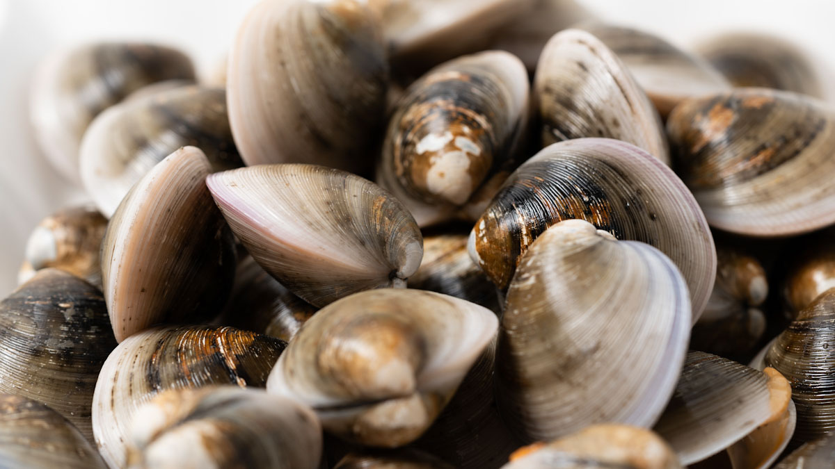 A large bowl of clams