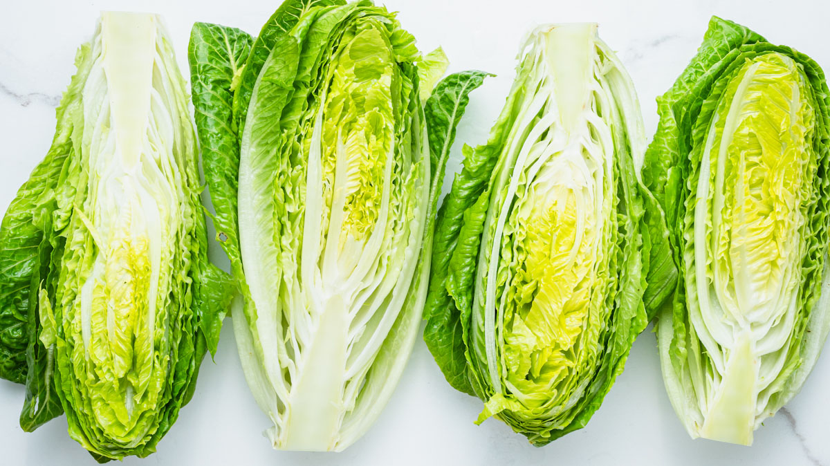 Fresh romaine lettuce, cut in half, on a white background.