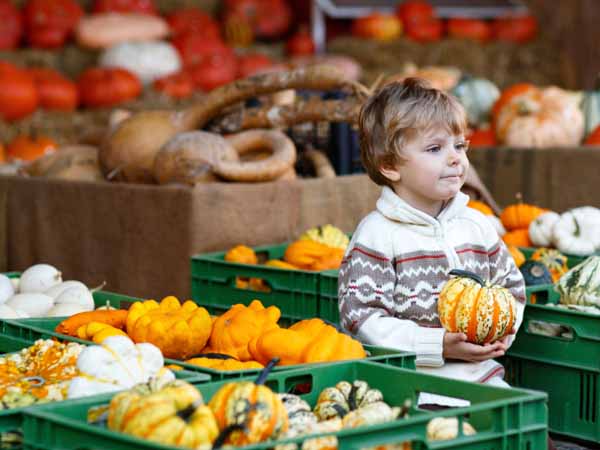 Boy at Farmers Market - 9 Fall Produce Picks to Add to Your Plate
