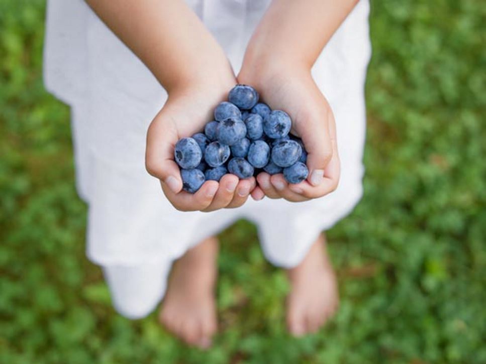 A Very Berry Summer