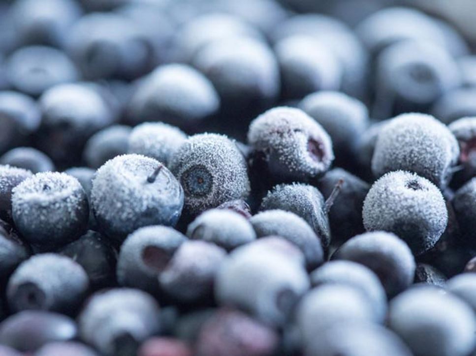 fresh frozen canned get most from fruits and vegetables