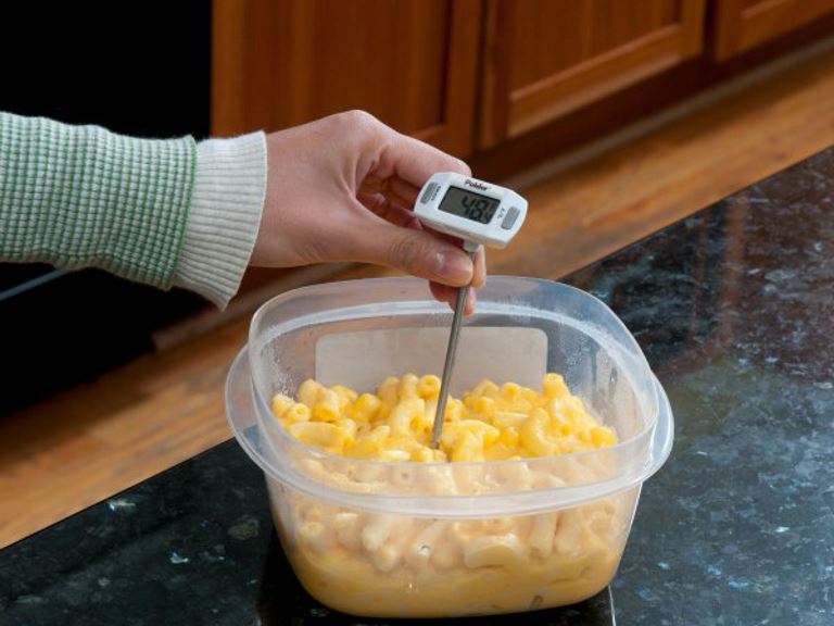 food thermometer in leftovers