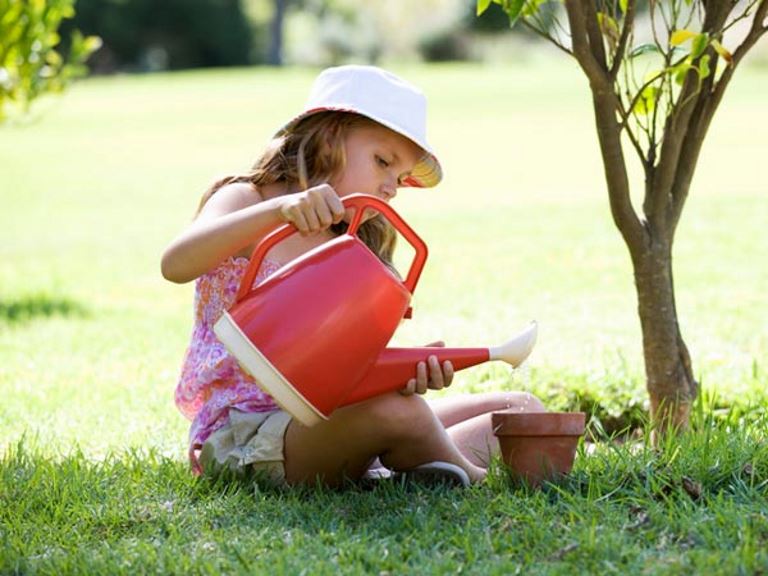 start a container garden with your family