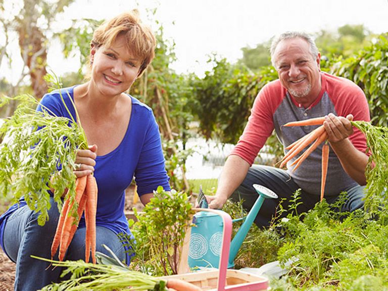 Sustainable Eating