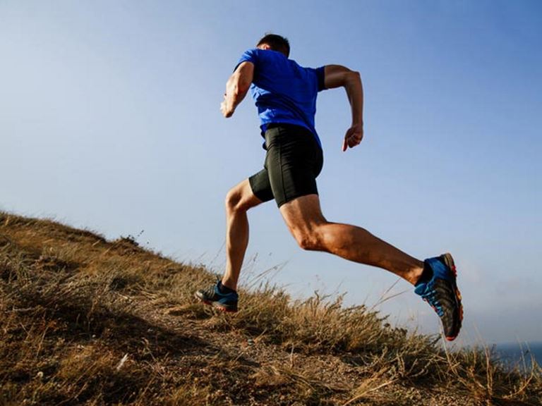 Vitamin Needs of Athletes