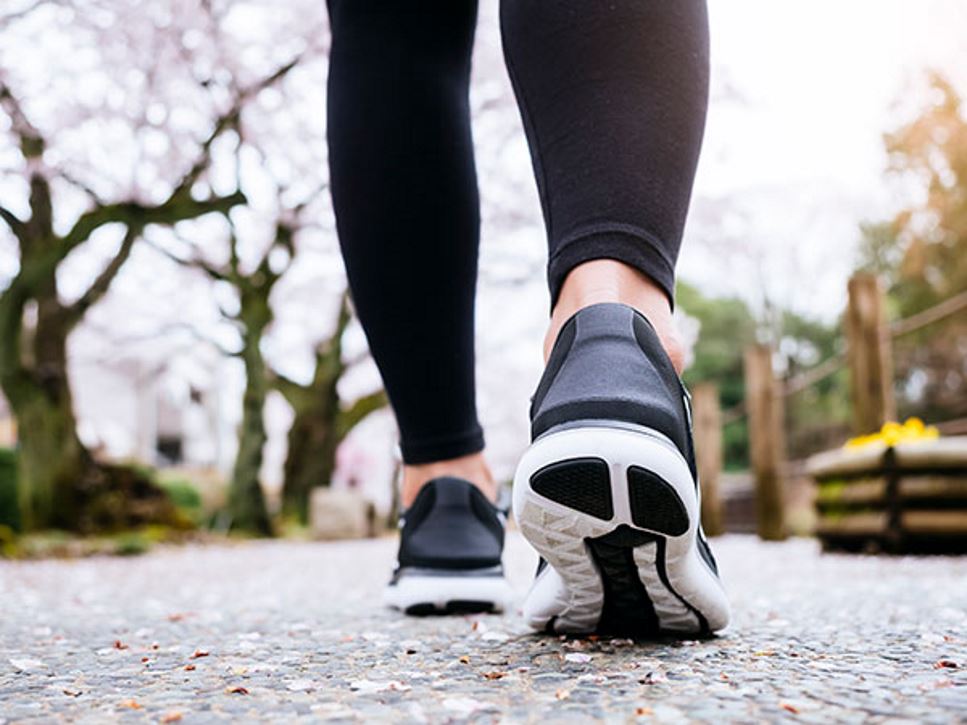 WhyPhysicalActivityDaily