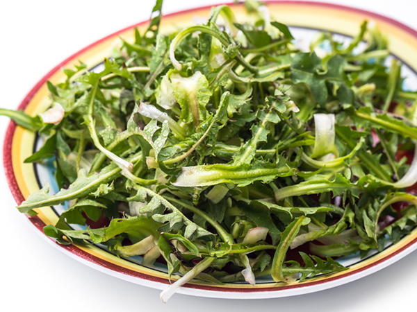 Dandelion Salad