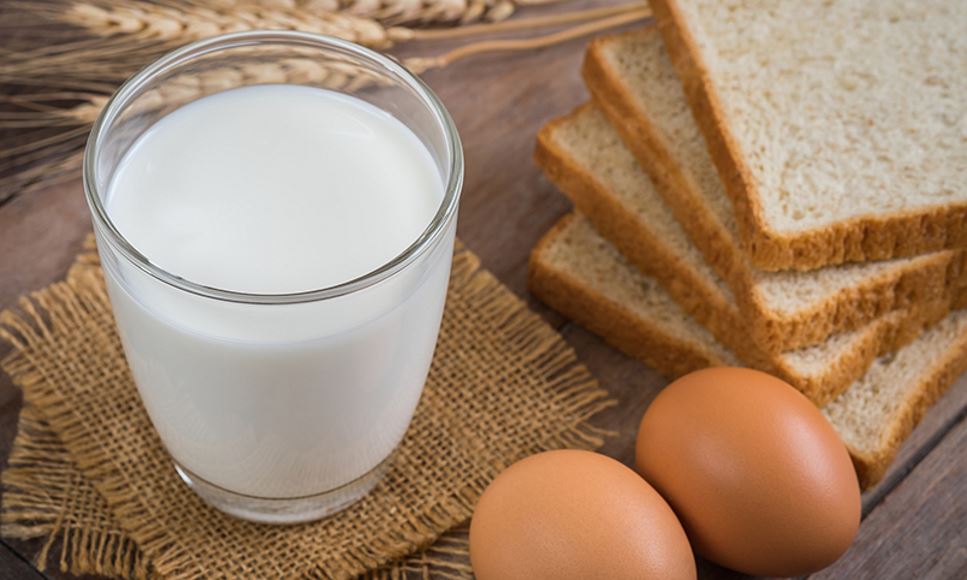 Milk, eggs and whole-wheat bread are sitting on a counter in preparation for making cinnamon french toast for breakfast.