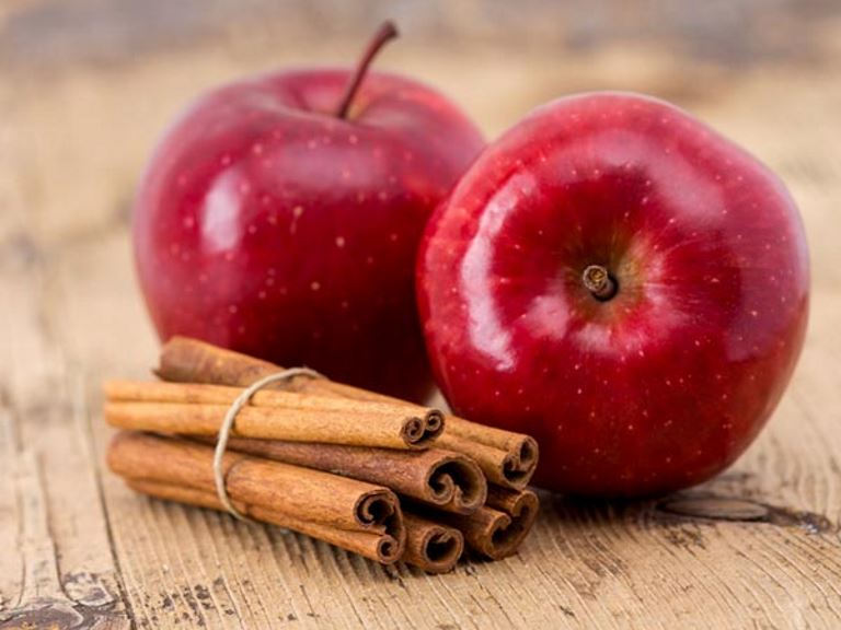 Apple Pie Fruit Leather Recipe