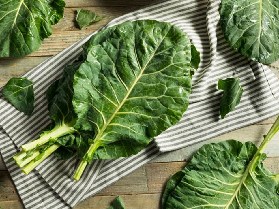 Easy Collard Chips Recipe