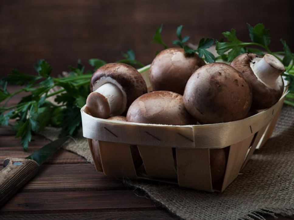 Garlicky Sauteed Mushrooms with Fresh Herbs